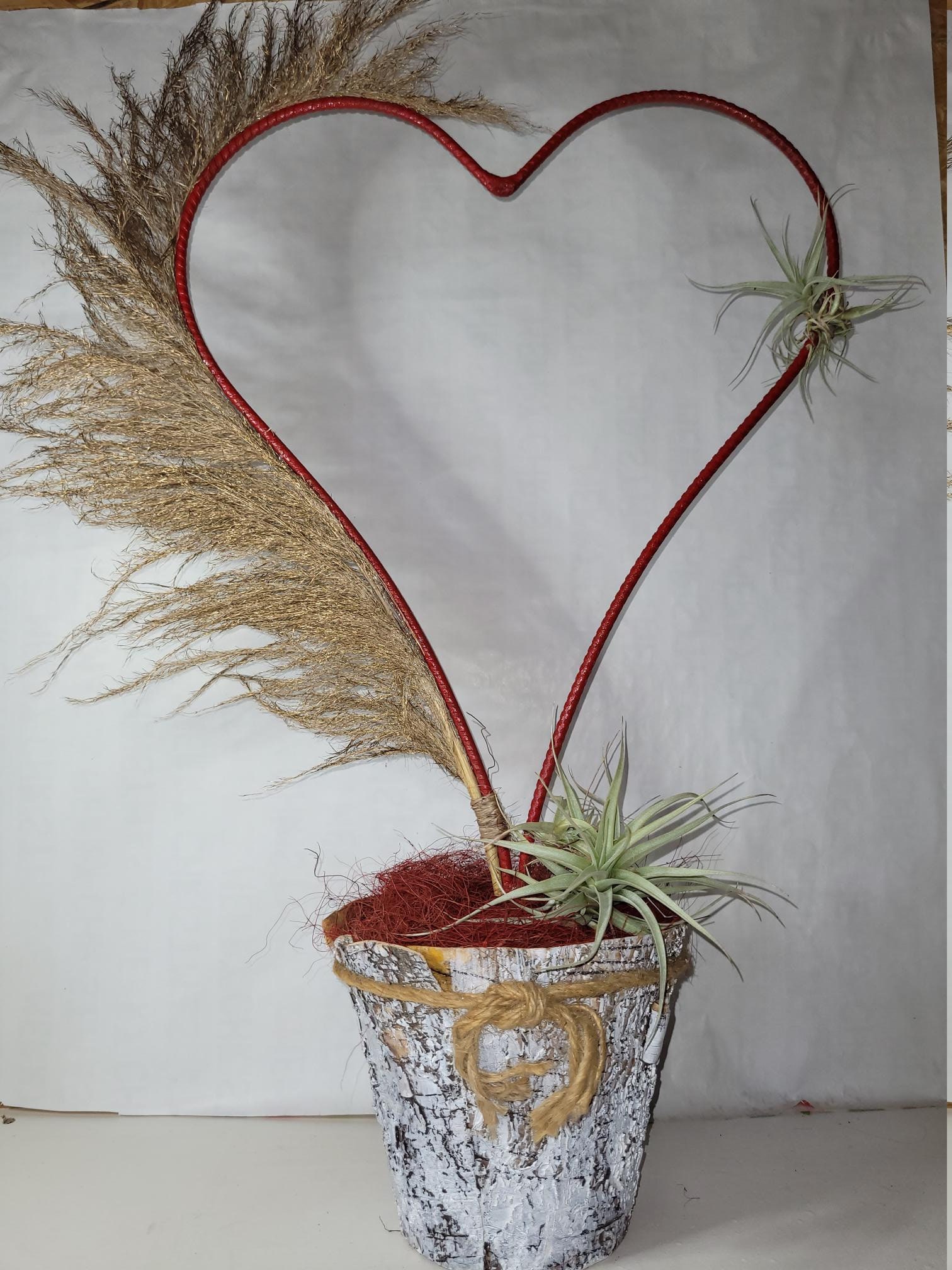 Décoration Pampa Tillandsia Cœur Rouge Fer Forgé