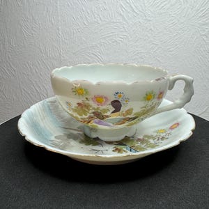 May include: A white porcelain teacup and saucer set featuring a floral and bird design. The cup has a scalloped rim and a handle. The saucer has a scalloped edge and a floral design.