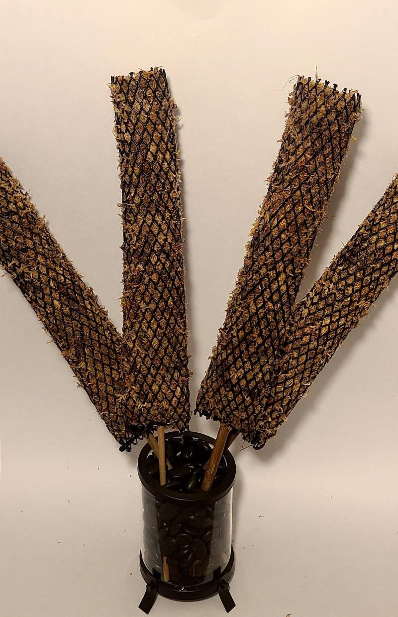 Sphagnum Moss Pole Etsy