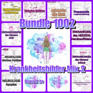 病気の写真 MIX 2 の概要とフラッシュカード (PDF)