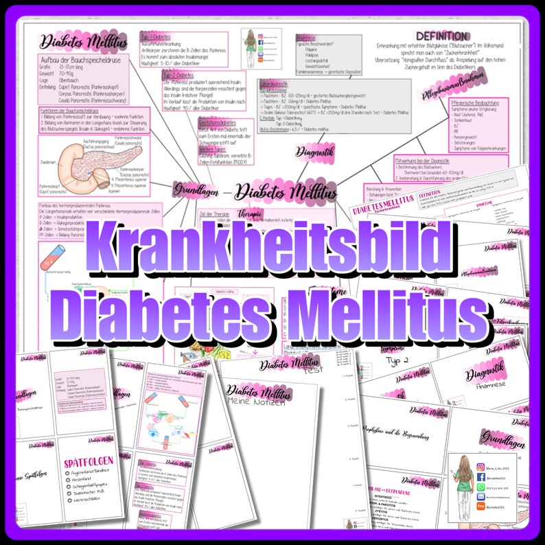 025/003 DIABETES MELLITUS Summary A4 and learning cards A6 to laminate in yourself image 1