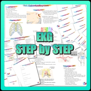 Könnte beinhalten: Eine bunte Infografik, die die Schritte eines EKGs (Elektrokardiogramms) mit Illustrationen von Herz und Brust erklärt. Der Text enthält die deutschen Wörter "EKG Elektrokardiogramm" und "Schritt für Schritt".