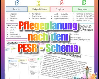 004/014 PESR Schema Basiswissen mit Beispielen