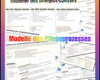 004/004 models of the nursing process