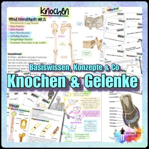 Può includere: Un poster educativo colorato con il titolo "Knochen & Gelenke" (Ossa e articolazioni) in testo blu e bianco. Il poster presenta illustrazioni di diversi tipi di ossa, la struttura ossea e le articolazioni. Include anche testo in tedesco che spiega i diversi tipi di ossa e le loro funzioni.