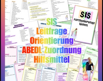 004/006 SIS Leitfrage Orientierung ABEDL Zuordnung Hilfsmittel