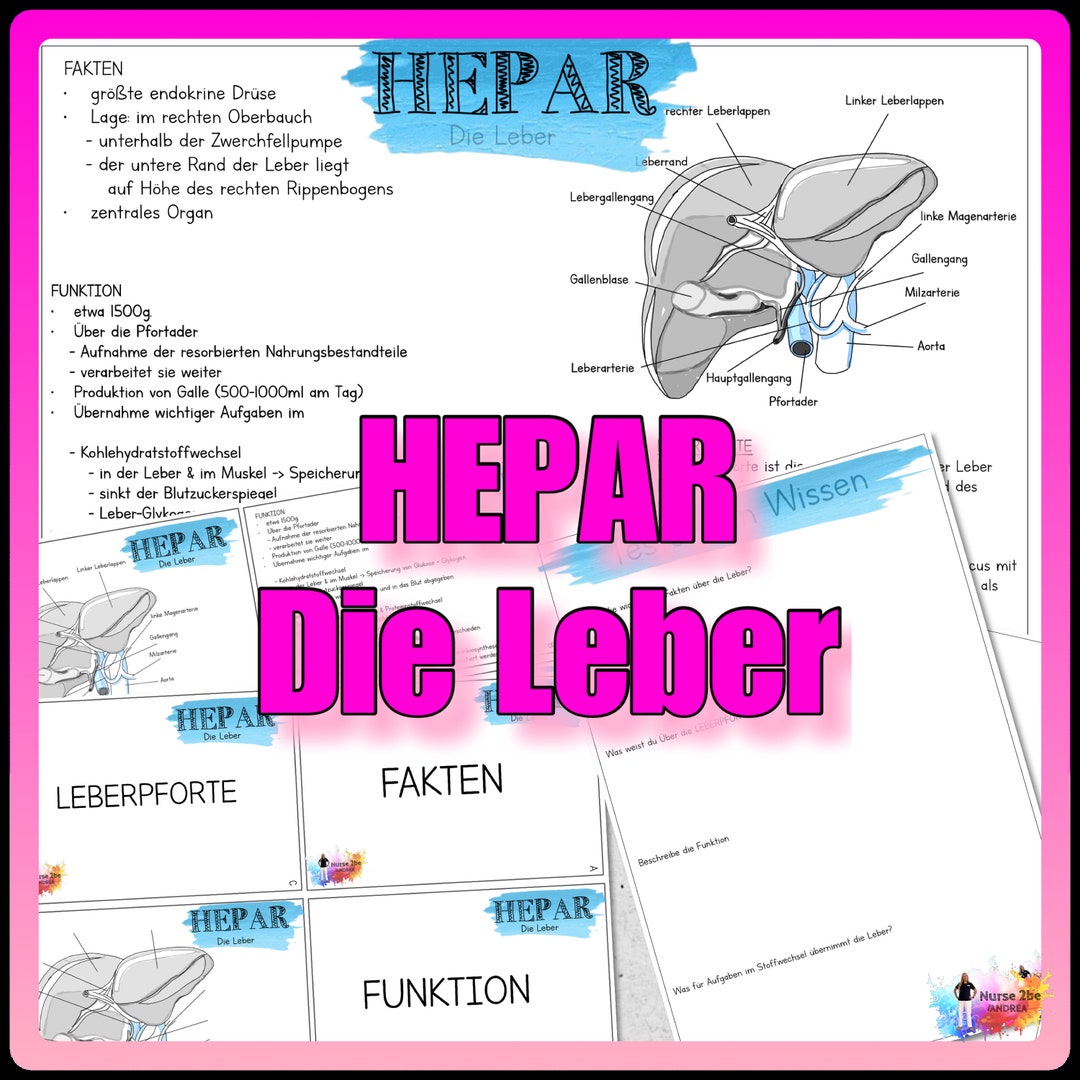 030/002 HEPAR - the Liver - Etsy