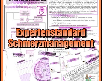 013/011 Schmerzmanagement Expertenstandard- Zusammenfassung A4 und Lernkarten in A6 als PDF zum ausdrucken