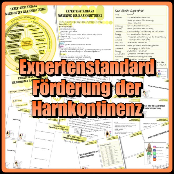 013/005 Expertenstandard Förderung der Harnkontinenz Zusammenfassung und Lernkarten als PDF zum drucken