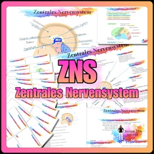 May include: A colorful educational poster about the central nervous system (ZNS) in German. The poster features a diagram of the brain, a mind map, and a worksheet. The text on the poster includes the words "Zentrales Nervensystem" and "ZNS".