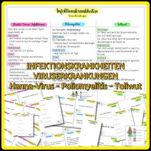 May include: A colourful infographic about infectious diseases, including Hantavirus, Poliomyelitis, and Rabies. The infographic features text in German, describing the symptoms, transmission, and incubation periods of each disease.