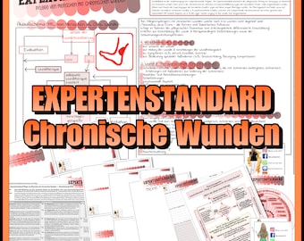 013/002 Care for people with chronic wounds Expert standard A4 and A6 as a PDF to print out