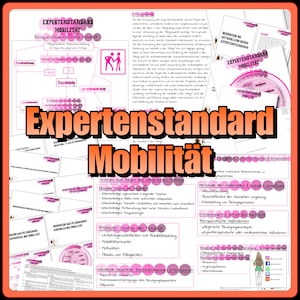 013/010 Mobility - Expert Standard Summary and flashcards as a PDF to print out