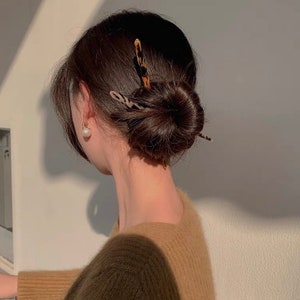 May include: A woman with dark brown hair styled in a bun with two brown and black feather hair clips. She is wearing a brown sweater.