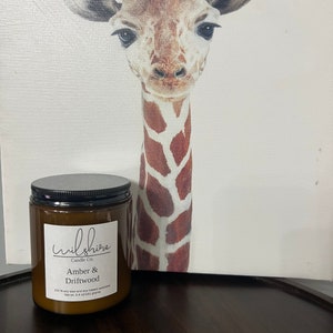 Amber & Driftwood, Wilshire Candle Co. 6.4 oz