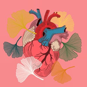 Può includere: Un'illustrazione stilizzata di un cuore umano con dettagli intricati, circondato da foglie stilizzate delicate in tonalità di giallo, verde e bianco su uno sfondo rosa.