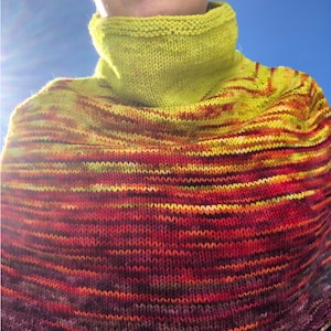 SE Patterns - kaptur/peleryna/poncho - Terrarium Cowl