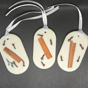 May include: Three off-white, oval wax melts with white ribbon hangers. Each melt features a cinnamon stick and cloves. One melt has small blue flowers. The background is a dark grey fabric.