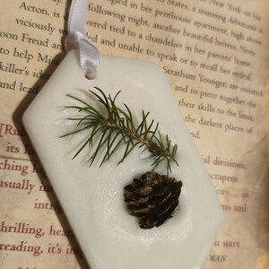 Op de afbeelding: Een wit, zeshoekig ornament met een takje groene dennennaalden en een kleine dennenappel. Er is een wit lint bevestigd om op te hangen. De achtergrond bevat tekst uit een boek.