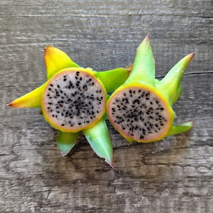 Bruni Dragon Fruit Cutting