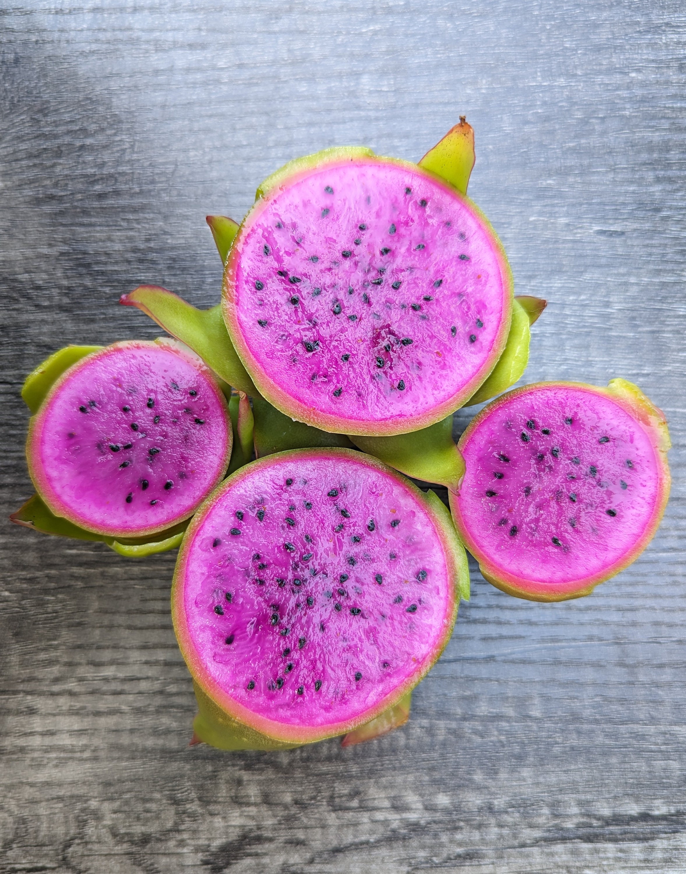 AX Dragon Fruit Cutting Etsy