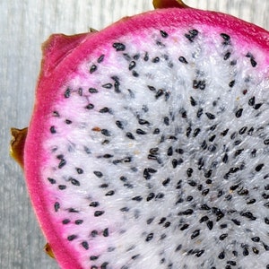 Native PR Chameleon Dragon Fruit Cutting