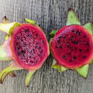 Armando Dragon Fruit Cutting