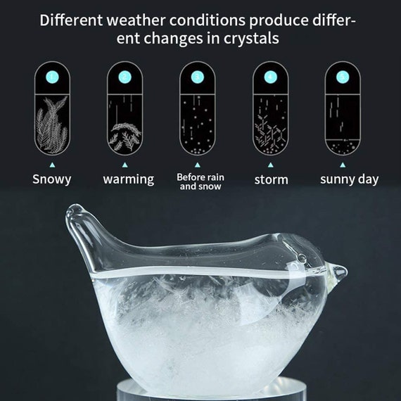 Storm Glass Weather Forecaster SUNJULY Weather Predictor -  New Zealand