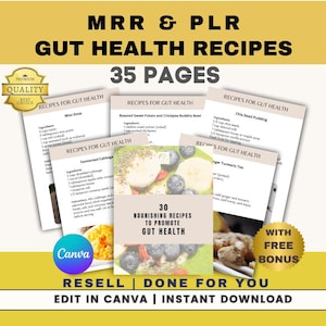 30 Darm-Gesundheit Rezepte PLR MRR | Sofortiger Download Bearbeitbar in Canva | Wellness Kochbuch Probiotische & Fermentierte Lebensmittel Digitale Produktboni