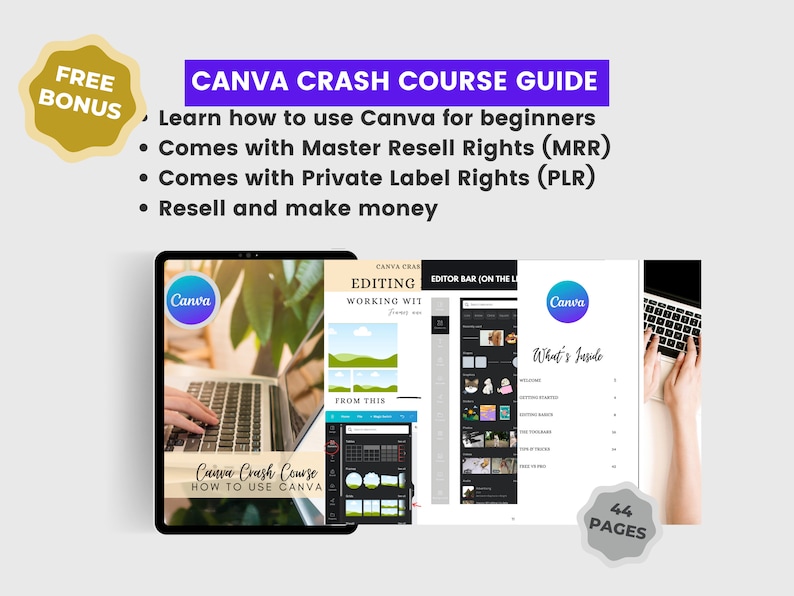 PLR 100 Business eBooks Bundle MRR, Master Resell Rights, Learn Business & Entrepreneurship, färdiga guider för dig, passiv inkomst, nedladdning bild 8