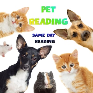 May include: A graphic featuring a variety of pets, including cats, dogs, a guinea pig, and a mouse, against a white background. The text "PET READING" is displayed in green and yellow, with "SAME DAY READING" in blue.