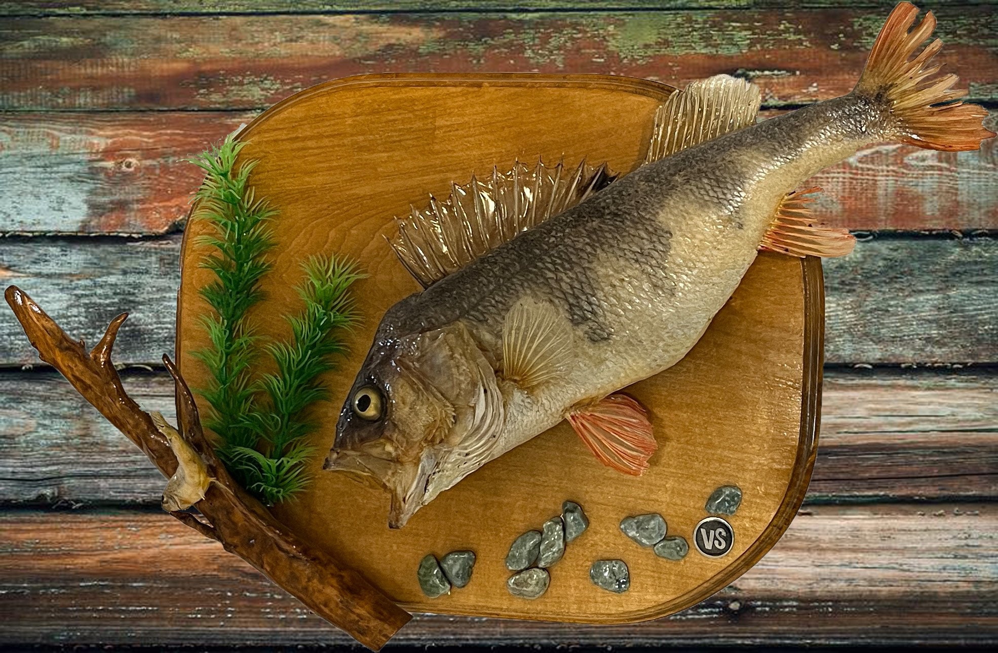 Buy Fish Taxidermy Fishing Online In India -  India