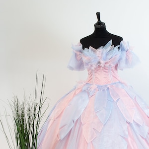 Swan lake barbie dress shop