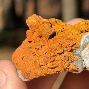Flowered Limonite on Missouri Druzy Quartz | Haunted Ridge Specimen