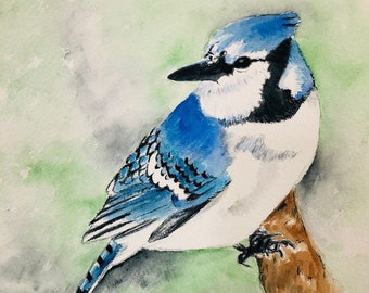 Blue Jay - Watercolor - Bird Watercolor Print