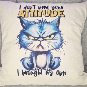 This is an example pillow cover of what can be made.