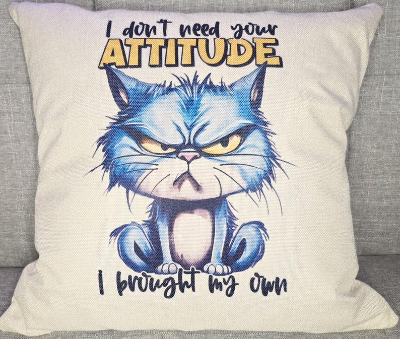 This is an example pillow cover of what can be made.