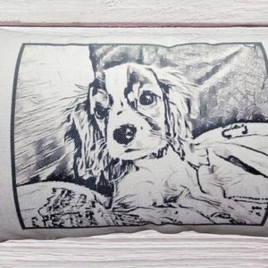 This is an example pillow cover of what can be made.