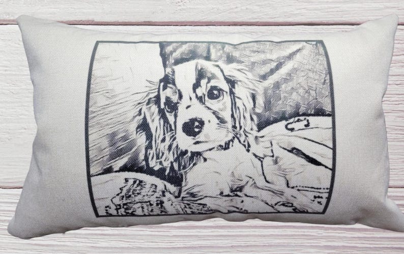 This is an example pillow cover of what can be made.