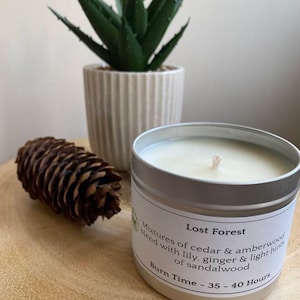 Lost Forest | Soy Wax | UK Made | Vegan Friendly | Handcrafted | 195g Tin | Gift | Burn of 35-40 Hours | Scented Candle |