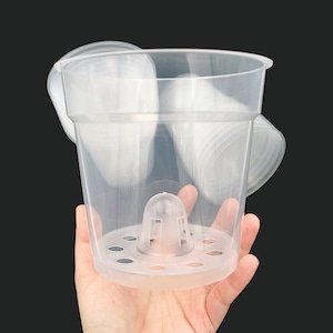 Maceta redonda transparente para orquídeas de Ø13 cm: maceta de plástico transparente con orificios de drenaje.