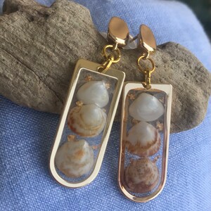May include: Gold tone earrings with three small seashells encased in clear resin. The shells are a light brown color with white accents.