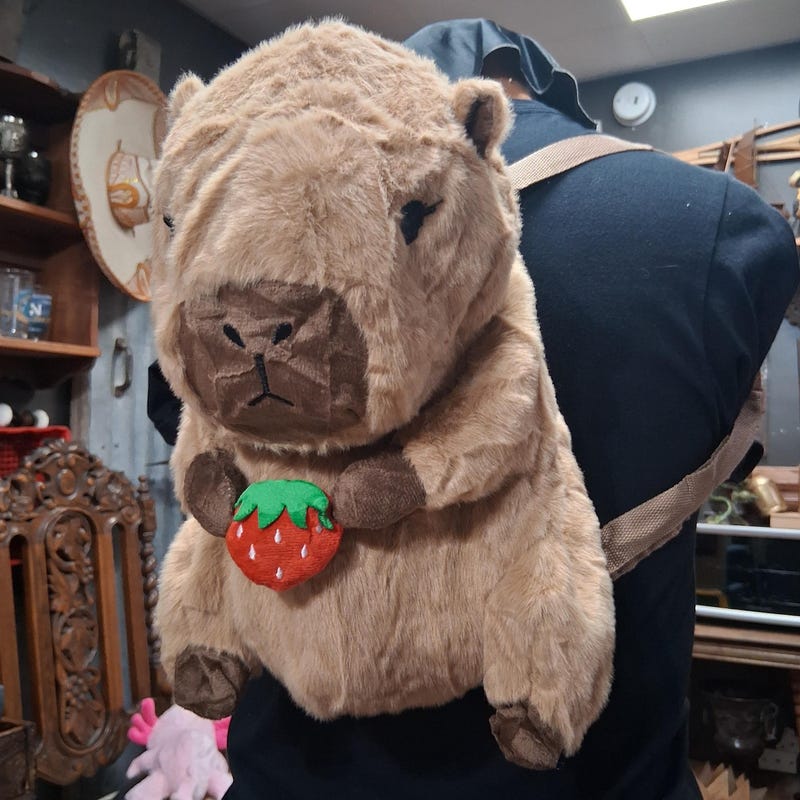 Capybara Backpack - Etsy