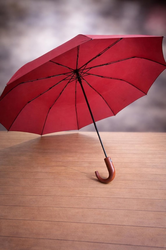 Red Double Canopy Automatic Umbrella with Curved … - image 1