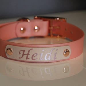 Biothane collar &quot;Bolt&quot; two-tone pin buckle
