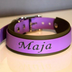 Biothane collar &quot;Balou&quot; two-tone pin buckle
