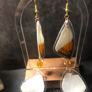 Butterfly wing earrings (Great Orange Tip)