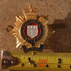 May include: Gold and blue metal pin with a crown, a shield with a red background and a white design, and the text "HONI SOIT QUI MALY PENSE" and "WE SUSTAIN".