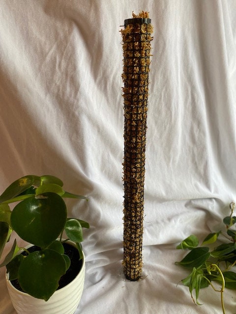 LM Moss Pole (24 inches) New Design.