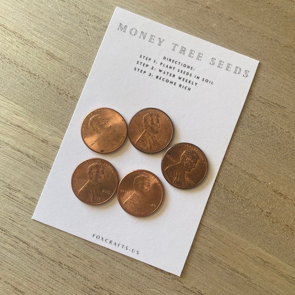 Money Tree Seeds - gag gift, teen, retirement, kid, stocking stuffer, sweet 16, birthday, graduation, prank, cheap, joke, him or her , funny